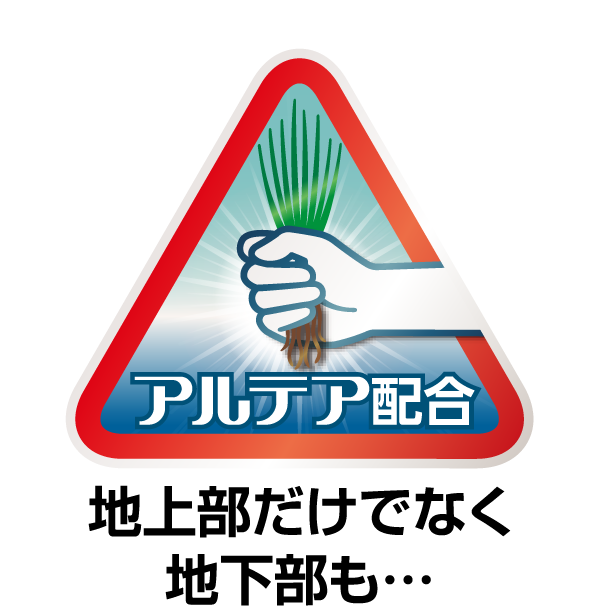 地上部だけでなく地下部も