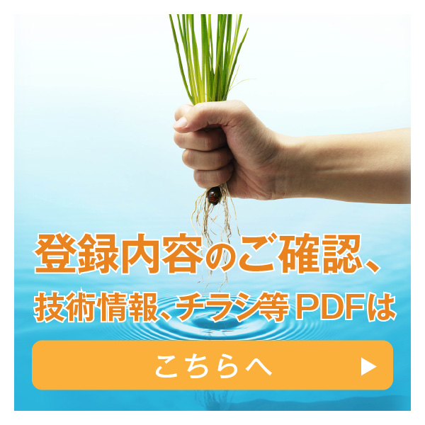 pdfはこちら