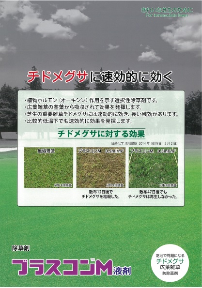 芝用 広葉雑草防除選択性除草剤「ブラスコンＭ液剤」：日産化学アグロ