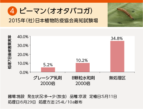 委託試験成績：ピーマン（オオタバコガ)