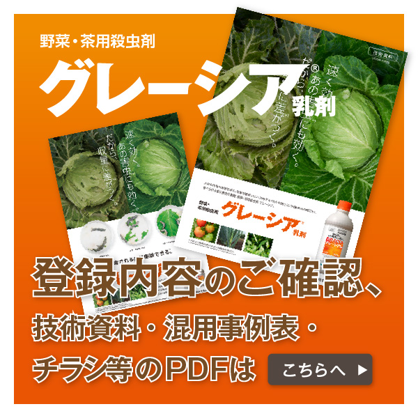 pdfはこちら