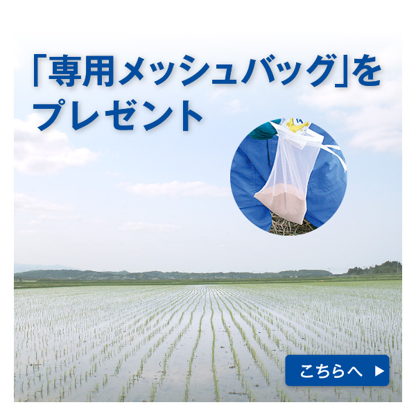 プレゼント