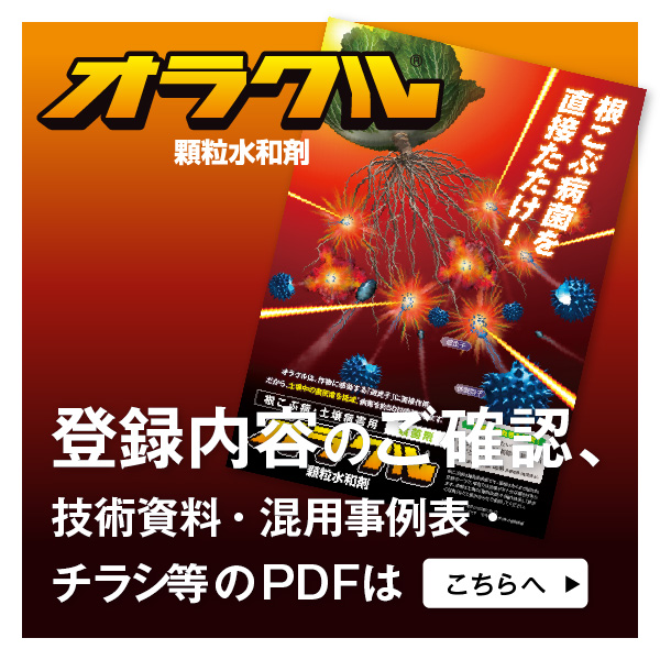 pdfはこちら