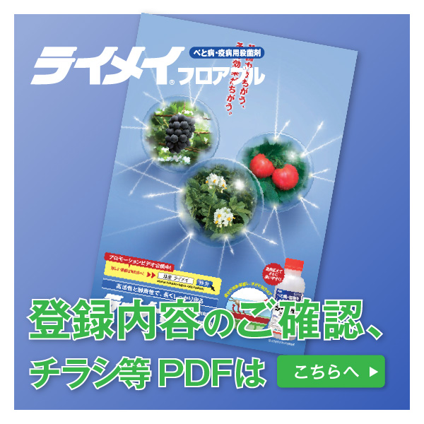 pdfはこちら