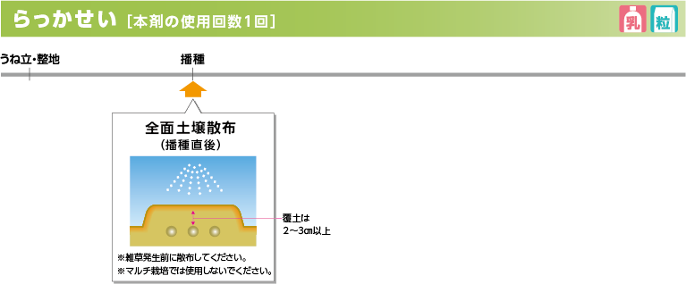 trf_pic_01