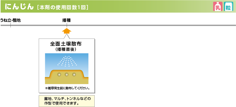 trf_pic_01