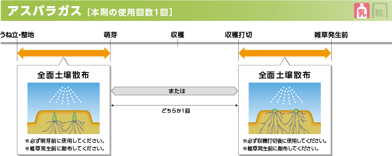 trf_pic_01