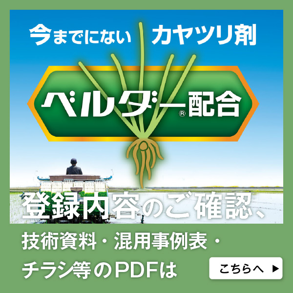 pdfはこちら