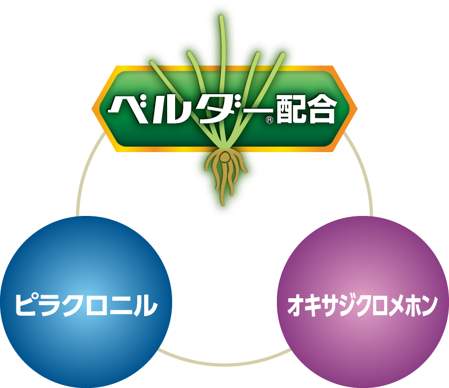 概念図
